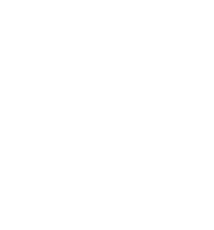 Turbo Powertrain Solutions